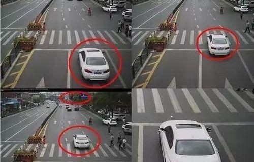 查违章哪个软件最准确最快(怀疑自己闯红灯怎么快速查询)