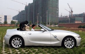 宝马敞篷4座跑车30万(宝马敞篷4座跑车多少钱)