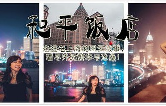 短剧之窗，阅尽世间繁华