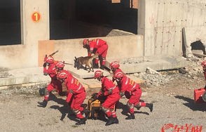 见义勇为的英勇壮举——跳下高铁站台救娃小伙的感人故事