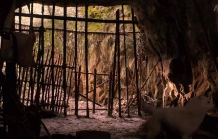 雨夜中的奇迹，男孩忍臭救出被困黑洞的四只小狗