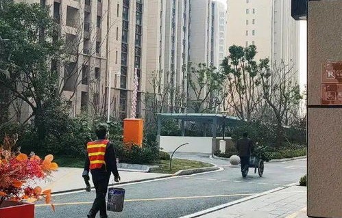 手机之家，连接世界的桥梁与生活的多彩舞台