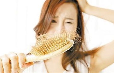 女子一年掉发39357根，记录与探索