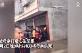 湖南13岁学生遭班主任暴力事件,教育之下的阴影