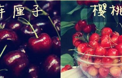 十斤车厘子三斤坏果，山姆超市的回应与消费者权益的维护