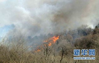 洛杉矶森林山火后的黑暗时刻