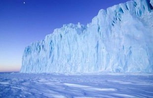 南极正以惊人速度变绿，环境变化的绿色奇迹