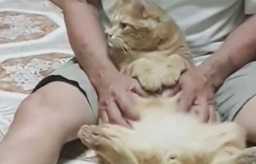 短剧它喵的，我才不要当女一的独特魅力与思考