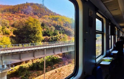 当火车与秋天同框——每一景皆是壁纸