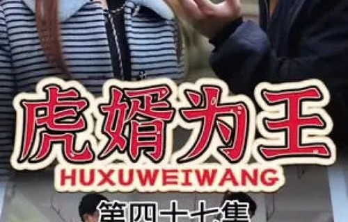 短剧帝师龙婿的魅力与深度解析