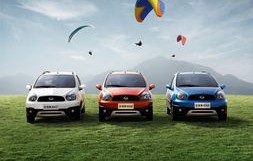 吉利熊猫，绿色出行的可爱使者