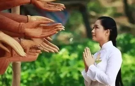 短剧植物人系列,生命的奇迹与坚韧