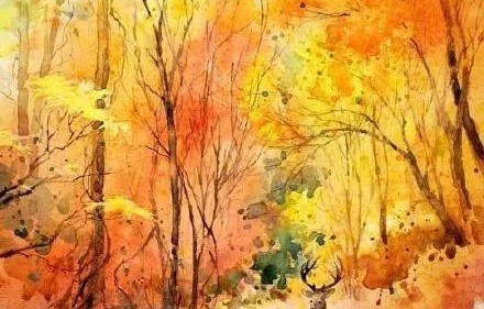 秋盼儿归，一部40集短剧的时光流转与情感交织