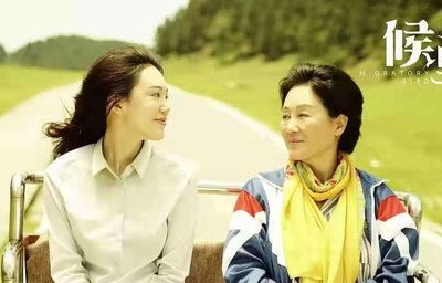 短剧之母，母女情深——论一部64集的短剧创作