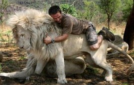 短剧金丝雀驯养手册与总裁的金丝雀——80集的深度解析与探索