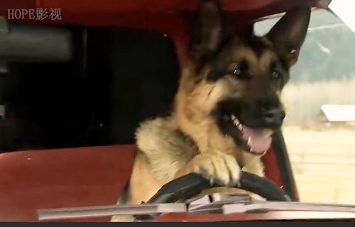 短剧二狗的开挂人生——百集人生路，笑看风云