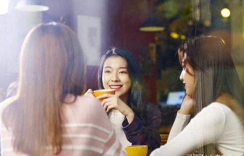 短剧影后老婆离婚后，我火遍全网——81集的蜕变与重生