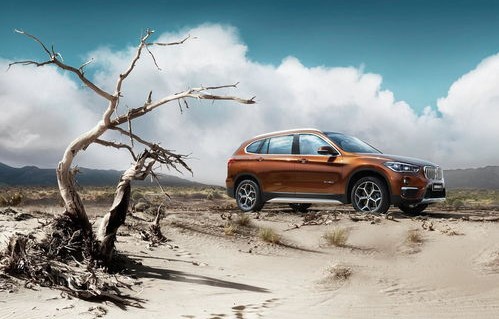 2023年最建议买的suv车(2023年最建议买的suv车途观)