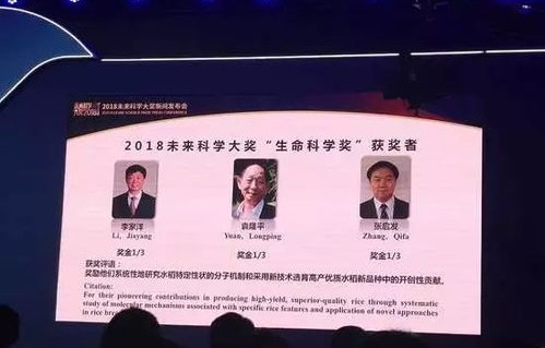 覃海洋，8000美元奖金背后的荣耀与坚持