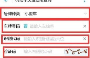如何查询车辆违章信息(如何查询车辆违章信息支付宝)