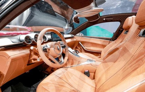 欧拉闪电猫预售价(欧拉闪电猫发售)