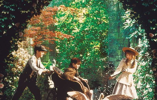 短剧仙问，八十一集的奇幻之旅