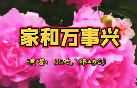 新版短剧家和万事兴——93集的温馨与幸福