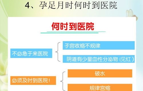 马斯克观点解析,为何当下是生育孩子的最佳时机