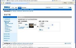 dell戴尔官方网站驱动下载(戴尔官网网站驱动下载)