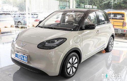 五菱缤果(五菱缤果参数配置)