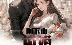 短剧闪婚绝色女总裁，83集的浪漫与挑战