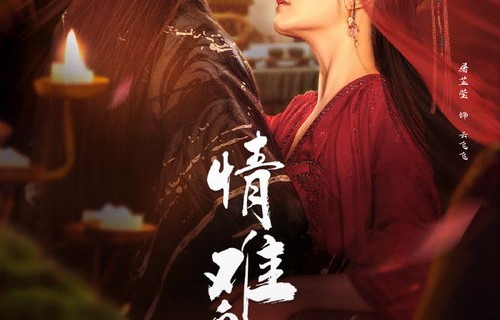 短剧凤倾九霄的魅力与深度解读