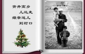 短剧我在佛前跪了三天三夜——刘美伦的虔诚之旅