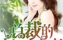 短剧首富总裁的心尖宠——沈玥妡的67集华丽之旅