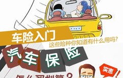 车险包括哪些险种(车险买这四个险就够了)