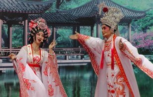 短剧新风尚——这个王妃有点野——百集大戏，精彩纷呈