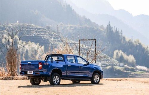 皮卡车哪个品牌最好最耐用?(皮卡车哪个品牌最好最耐用省油江西五十)