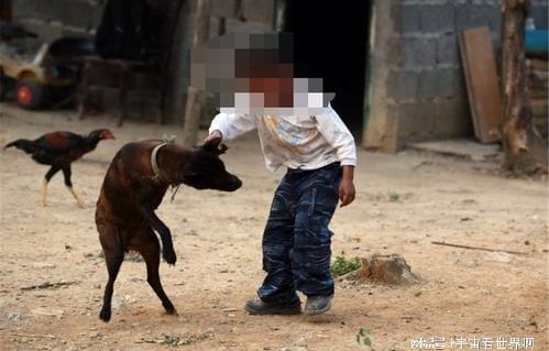 悲剧的背后，居民因被自家狗咬伤患狂犬病不幸离世