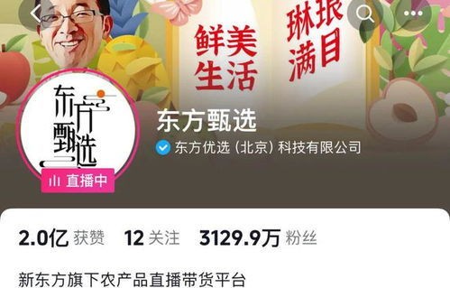 董宇辉与东方甄选,牌桌变迁的背后故事