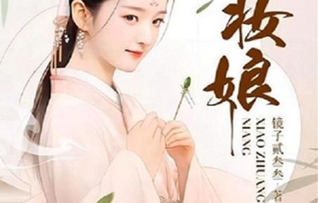 穿越之大小姐的极品家丁，一部百集短剧的魅力与影响