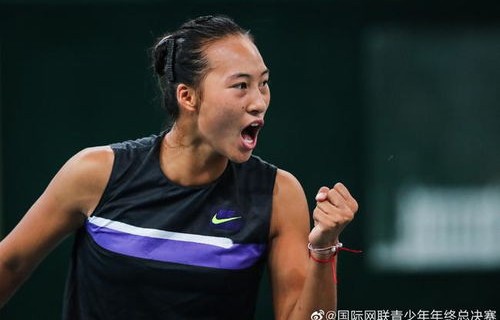 郑钦文遭遇挑战，0比2不敌萨巴伦卡