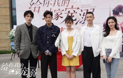 短剧爱上你，荣耀的篇章