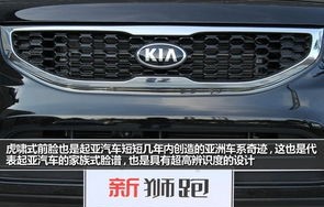 起亚所有车型图片(起亚所有车型图片老款)