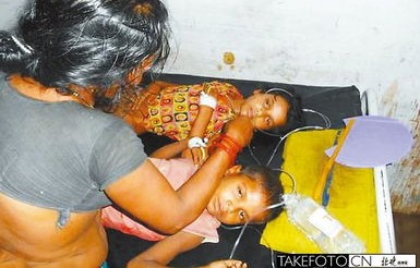 印度遭遇不明真菌侵袭，居民集体脱发事件揭秘