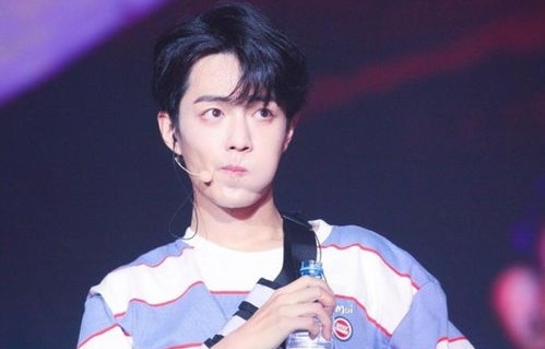 肖战主演电影为何票房不佳？深度解析背后的原因