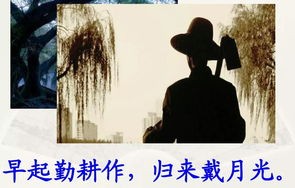 父爱如山——一部短剧的深度解读