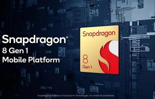 骁龙(骁龙8+gen1处理器)