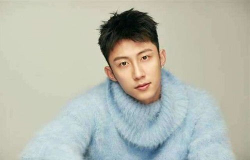 黄景瑜，内娱直男典范的璀璨光芒