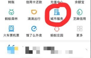 郑州市车辆违章查询官方网站(郑州市车辆违章信息查询)