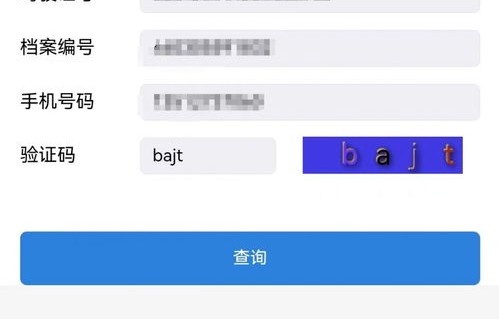 车辆违章查询电话(车辆违章查询电话122)